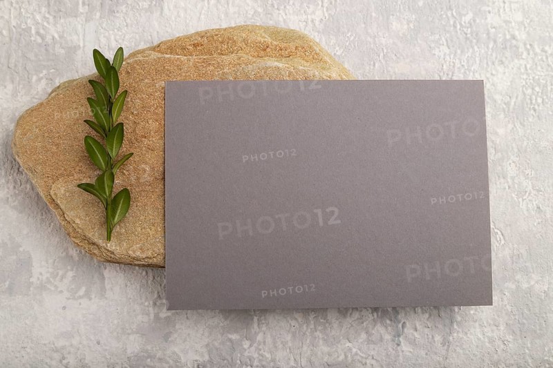 Gray paper business card, mockup with natural stone and boxwood branch on gray concrete background. Blank, flat lay, top view, still life, canvas, copy space