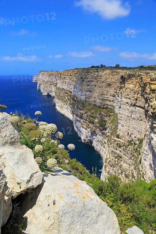 Coastal clifftop landscape view westwards at Ta' Cenc cliffs, island of Gozo, Malta, Europe