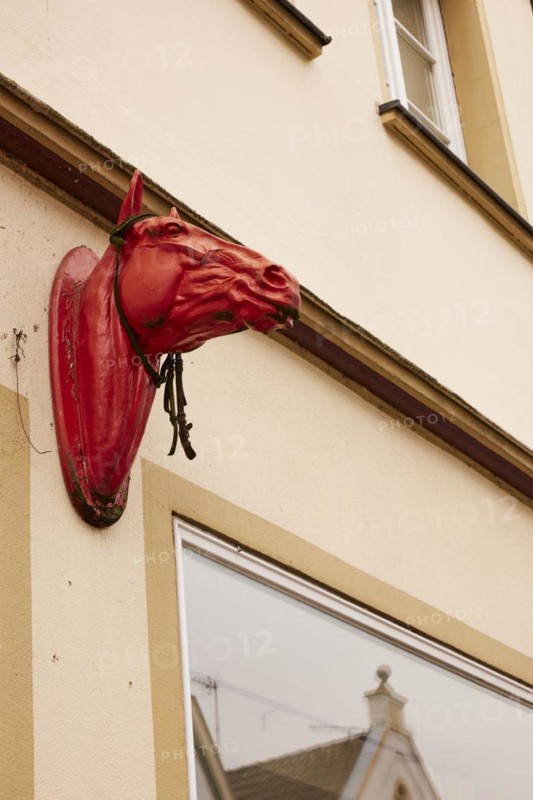 Horse head for decoration on a façade in Warendorf, Warendorf district, North Rhine-Westphalia, Germany, Europe