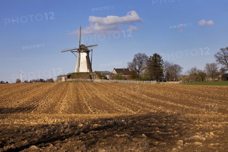 Historic Grottenherten tower windmill, Bedburg, Rhine-Erft district, Lower Rhine, North Rhine-Westphalia, Germany, Europe