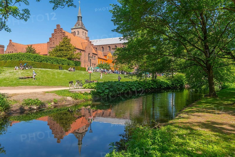 Odense, green area, monastery, brick building, stepped gable, tower of the cathedral church, St. Knud's church, water reflection, Fyn, island of Funen, Denmark, Europe