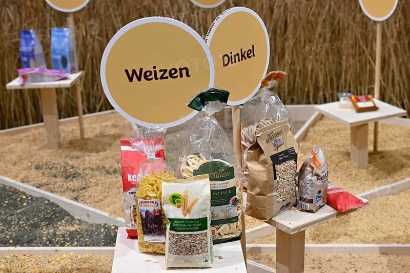 Symbolic photo of grain types wheat and spelt