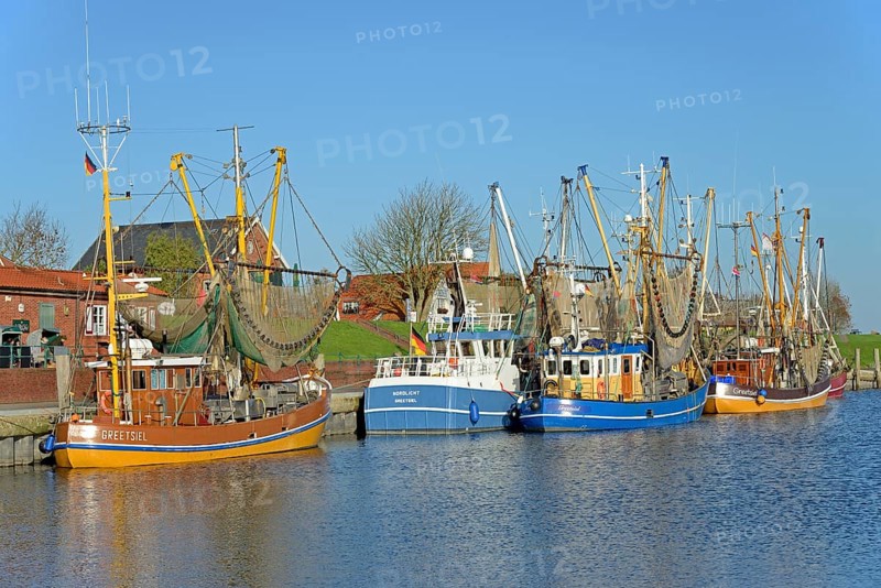 Crab cutter in the harbour of Greetsiel, blue sky, North Sea, Lower Saxony, Germany, Europe