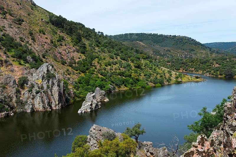 River landscape with steep mountain walls and green vegetation, at the Salto del Gitano, River Tagus, Tagus, Monfragüe National Park, Cáceres, Caceres, Extremadura, Spain, Europe