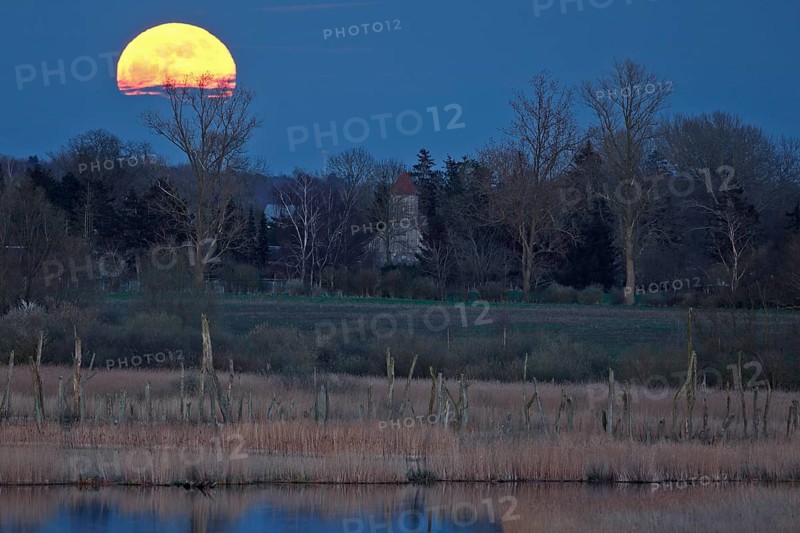 A full moon appears over a misty highland with visible trees on the horizon, view into the Randow loop of the river Peene in the evening light at moonrise, wetland biotope with reeds, Flusslandschaft Peenetal nature park Park, Mecklenburg-Western Pomerania, Germany, Europe