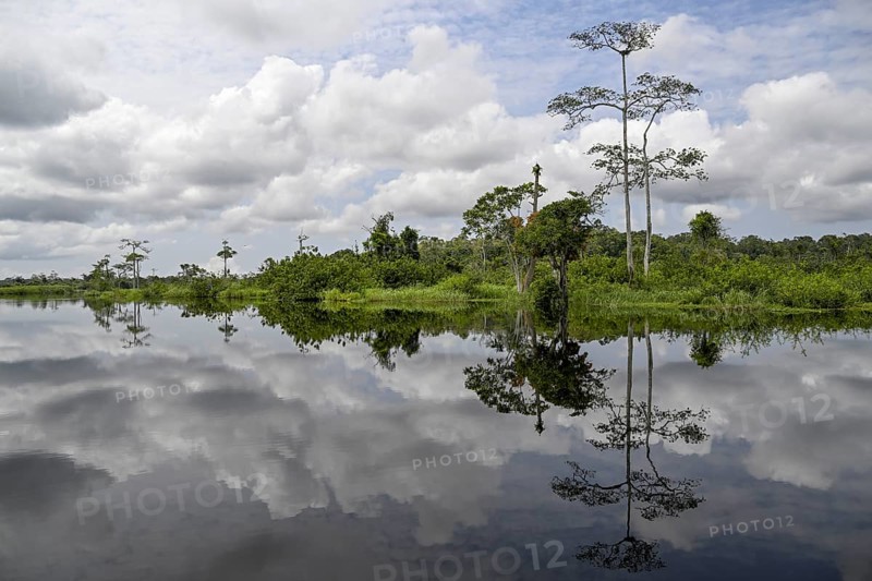 Waterscape on the Akaka River, Loango National Park, Parc National de Loango, Ogooué-Maritime Province, Gabon, Africa