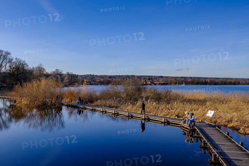Plank path to the observation tower, high water in Dießen am Lake Ammer, Diessen, Fünfseenland, Upper Bavaria, Bavaria, Germany, Europe