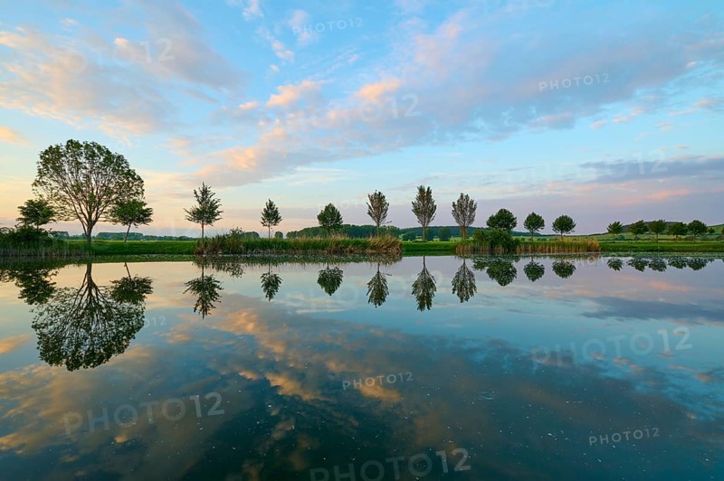 Lake in spring with row of trees and reflection at sunset, Drei Gleichen, Ilm-Kreis, Thuringia, Germany, Europe