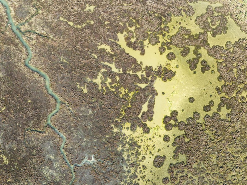 Marshland at low tide. Nature Reserve La Breña y Marismas del Barbate. Aerial view. Drone shot. Cádiz province, Andalusia, Spain, Europe