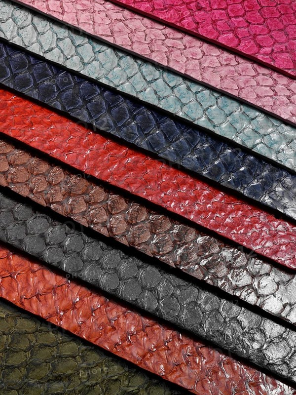 Coloured snakeskin stripes