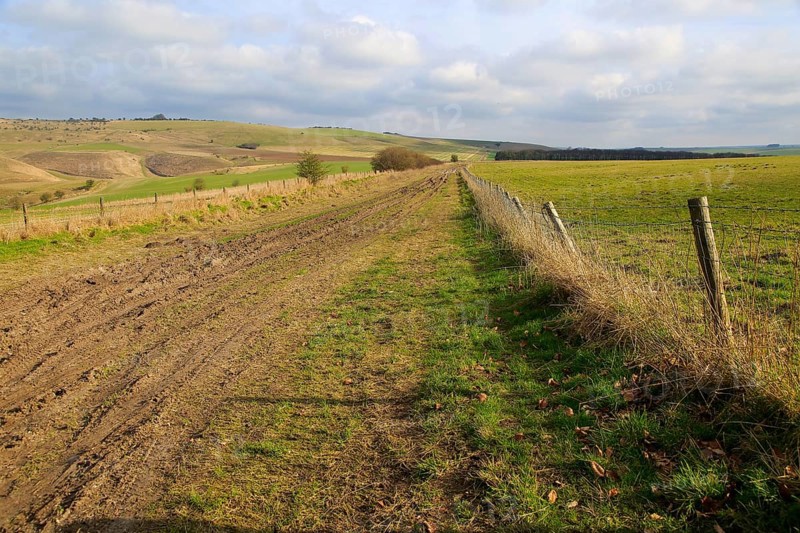 Roman road chalk landscape, near Baltic Farm, Bishops Cannings, Wiltshire, England, UK