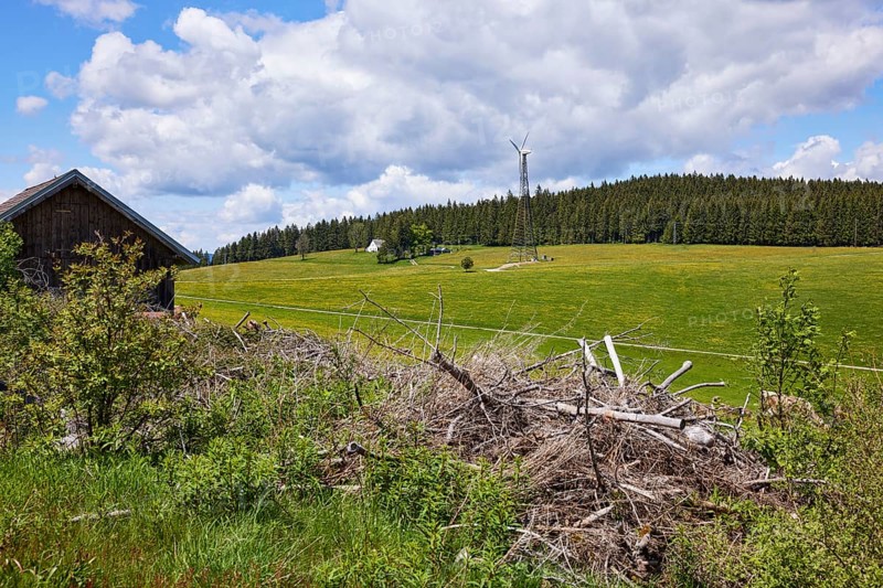 Small wind turbine in a meadow landscape with dead wood under a blue sky with cumulus clouds in Furtwangen im Black Forest, Black Forest, Black Forest-Baar-Kreis, Baden-Württemberg, Germany, Europe