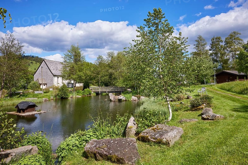 Pond with wooden bridge in the spa gardens of the Innerlehen district, Bernau im Black Forest, Black Forest, Waldshut district, Baden-Württemberg, Germany, Europe