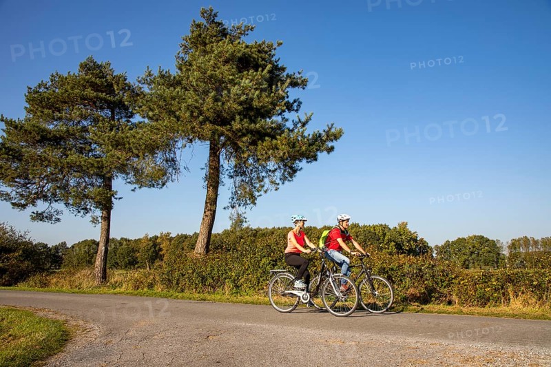 Cyclist, cycle tour in the Dingdener Heide nature reserve, heath and moorland landscape, north of the village of Dingden, part of Hamminkeln, cultural landscape, North Rhine-Westphalia, Hohe Mark Westmünsterland nature park Park
