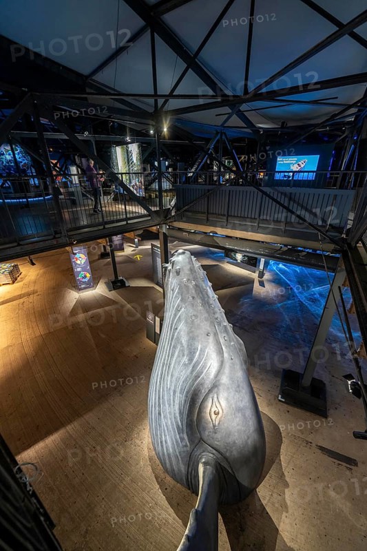Plante Ozean exhibition in the Gasometer in Oberhausen, the world's oceans in their fragile beauty are the focus of the new exhibition, large-format photos, exhibits including a whale skeleton and an immersive large-scale video and sound installation, The Wave, on a 40 metre high screen measuring over 1000 square metres in total can be seen, Oberhausen, Germany, Europe