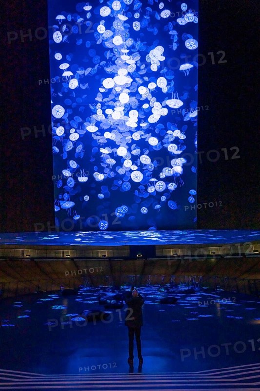 Plante Ozean exhibition in the Gasometer in Oberhausen, the world's oceans in their fragile beauty are the focus of the new exhibition, large-format photos, exhibits including a whale skeleton and an immersive large-scale video and sound installation, The Wave, on a 40 metre high screen measuring over 1000 square metres in total can be seen, Oberhausen, Germany, Europe
