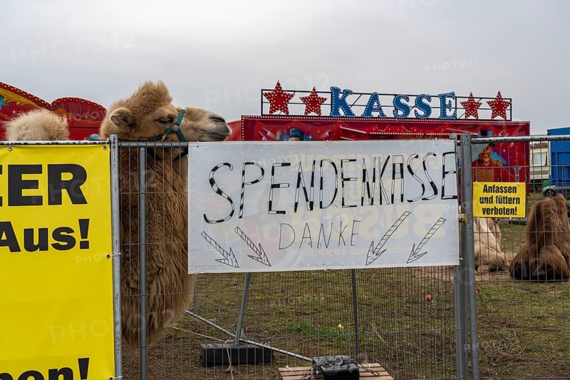 Circus Paul bush, shut down during the second corona lockdown, in Oberhausen, with posters pointing out the difficult situation of circus businesses during the pandemic, Oberhausen North Rhine-Westphalia, Germany, Europe