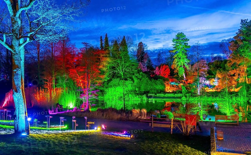Parkleuchten, event in winter, in the Grugapark in Essen, many different light installations, across the park, attract many thousands of visitors, North Rhine-Westphalia, Germany, Europe