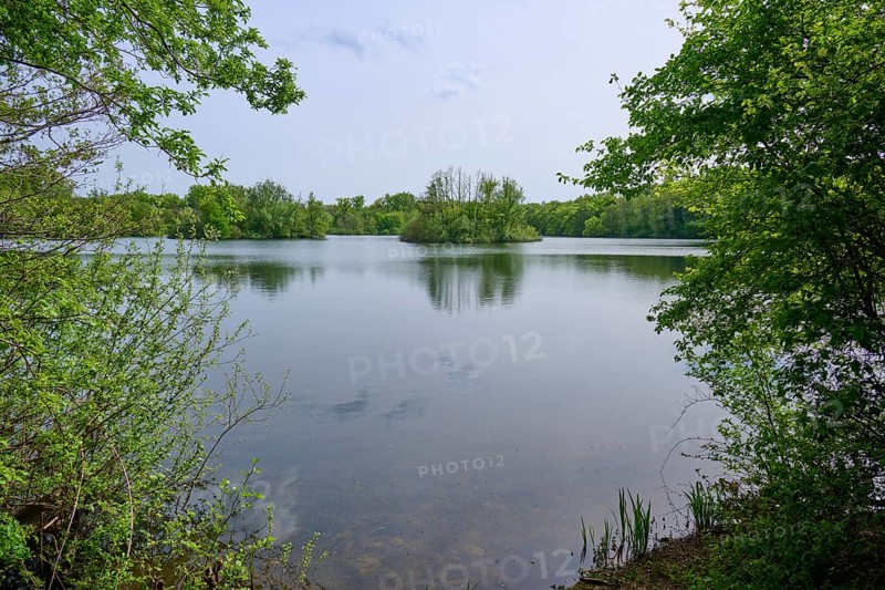 A quiet lake with a clear reflection of the surrounding green trees under a blue sky, spring, Kinzigaue, Erlensee, Hanau, Hesse, Germany, Europe