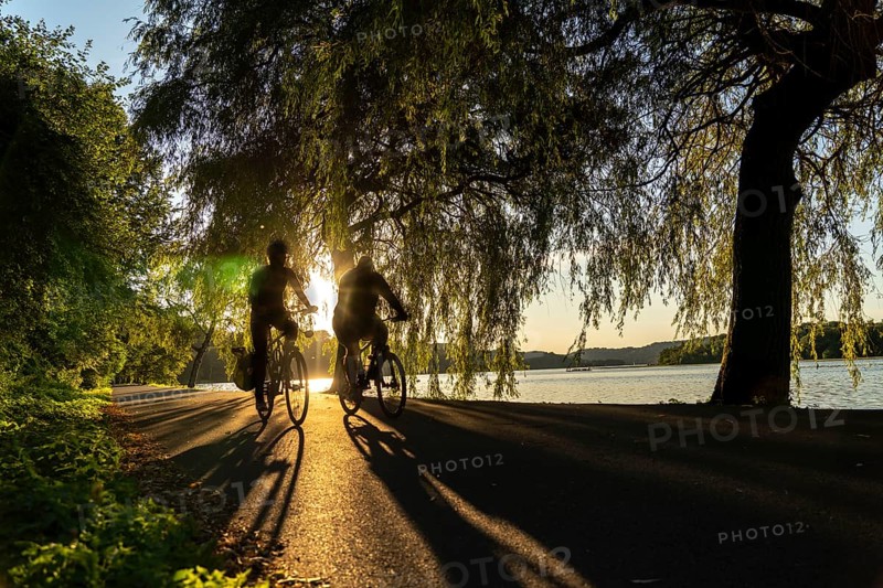 Cycling on Lake Baldeney, around 14 kilometres around the Ruhr reservoir, summer evening on the eastern shore, Essen, North Rhine-Westphalia, Germany, Europe