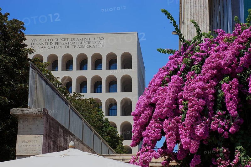 Butterfly bush, Buddleja davidii, butterfly bush, at the Palazzo della Civilta Italiana, Palace of Italian Civilisation, also Palazzo della Civilta del Lavoro, Colosseo quadrato, Esposizione Universale di Roma, Universal Exposition of Rome, EUR, Italy, Europe