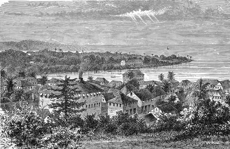 Landscape in Upper Guinea, Freetown, Africa, in 1880, Historical, digital reproduction of an original from the 19th century