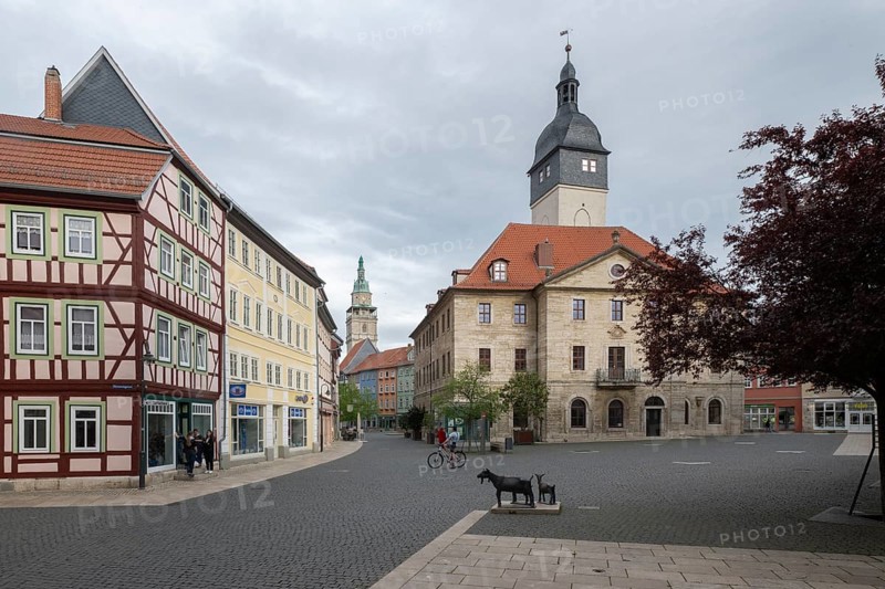 Bad Langensalza, historic old town, goat sculptures in front of the town hall, Thuringia, Germany, Europe