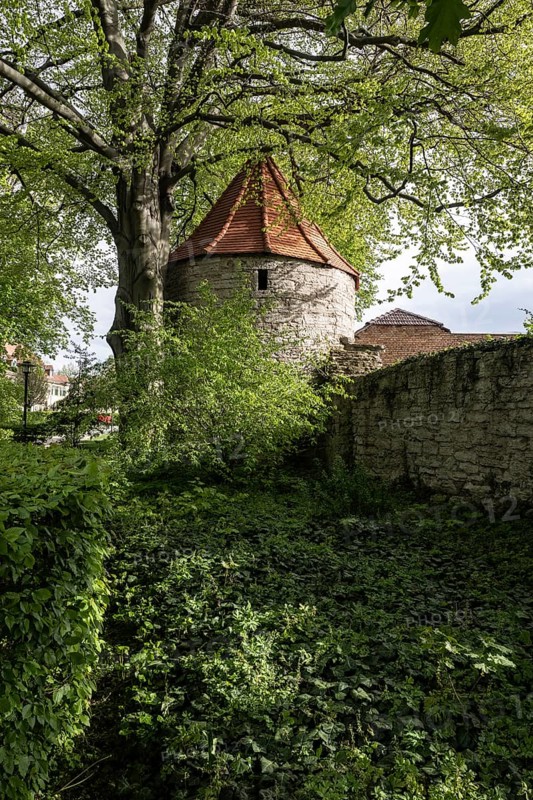 Powder tower and town wall, Bad Langensalza, Thuringia, Germany, Europe