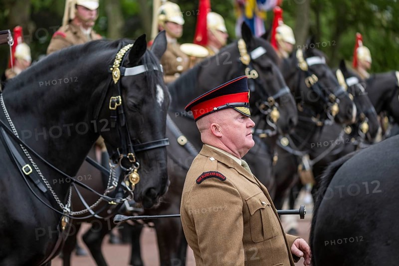Military, Trooping the colour, Military parade in June in honour of the British monarch's birthday, Buckingham Palace, London, England, Great Britain