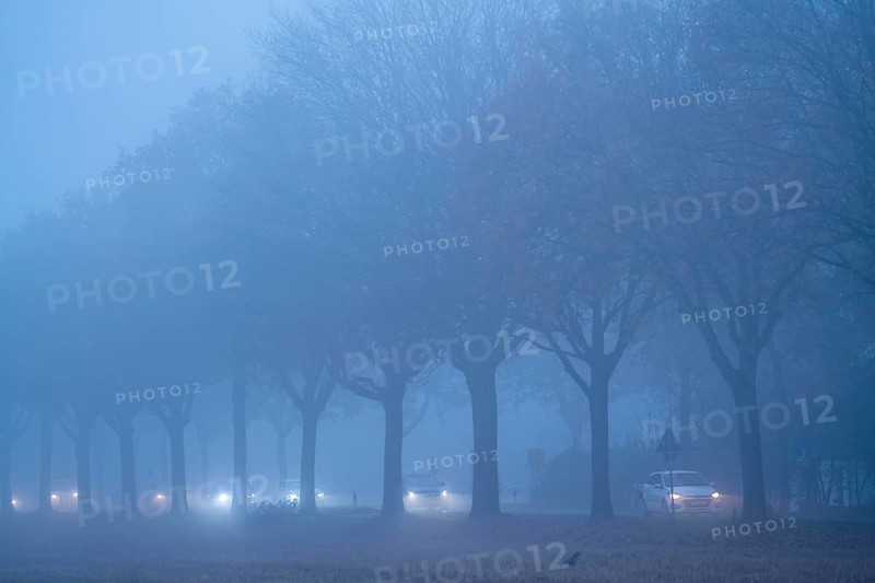 Country road B 57 near Erkelenz, autumn, fog, rainy weather, tree-lined avenue, wet road, North Rhine-Westphalia, Germany, Europe