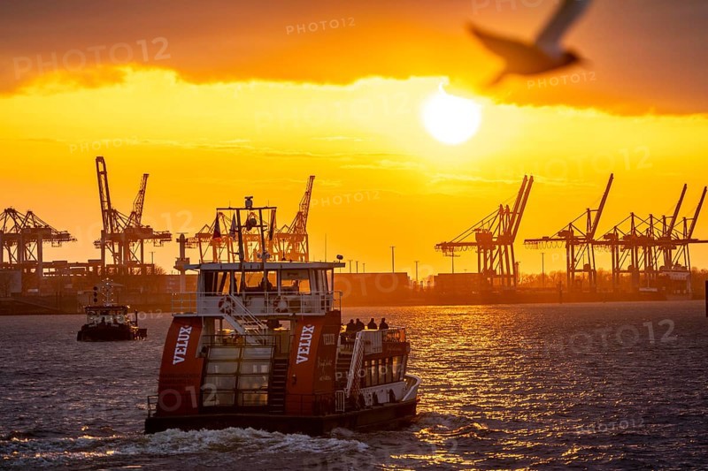 Port of Hamburg, view of the Blohm + Voss shipyard, evening, cranes of the container terminals, Hadag harbour ferry, Hamburg Germany