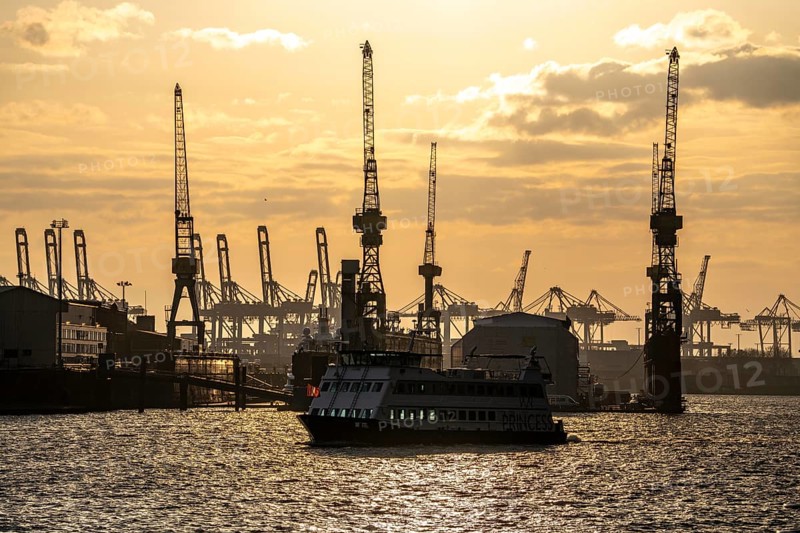 Port of Hamburg, view of the Blohm + Voss shipyard, evening, cranes of the container terminals, harbour tour boat, Hamburg Germany