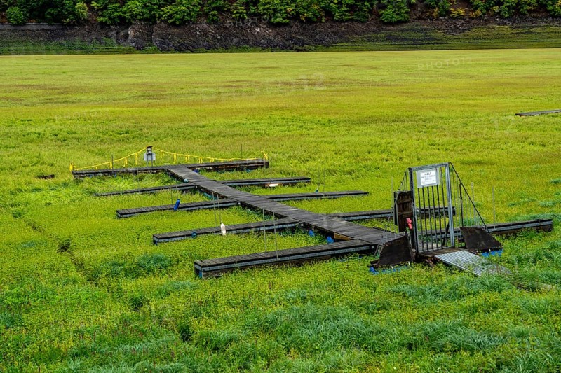 The Edersee, near Waldeck, the third largest reservoir in Germany, is currently only 13% full, the lake was last full in May 2022, dried out due to lack of rain, jetty, the lake shore and the lake bottom are overgrown with fresh grass, Hesse, Germany, Europe