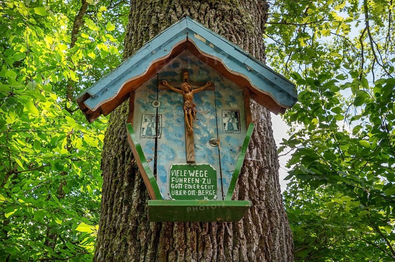 Christ's cross on an oak trunk, (Quercus), Bavaria, Germany, Europe