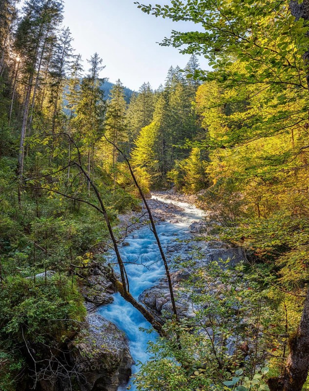 A clear river flows through a dense forest under a sunny sky, Wimbach