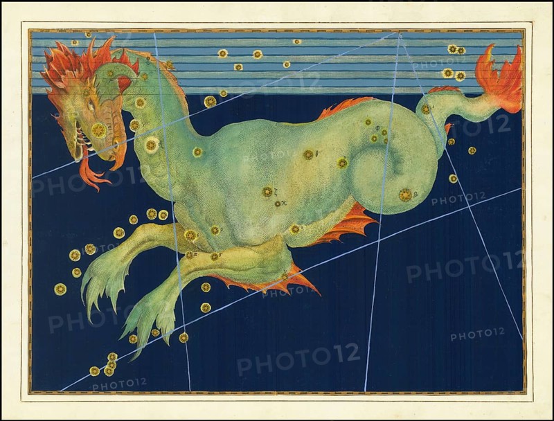 Astronomy. The celestial atlas, the Uranometria, Ptolemaic constellations, by Johann Bayer (1572 - 7 March 1625), German astronomer, Cetus, whale, constellation in the vicinity of the celestial equator, digitally enhanced reproduction of a historical original