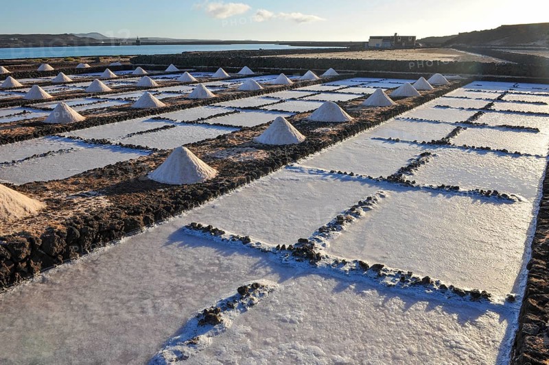 Salt extraction in the largest salt works on the Canary Islands Las Salinas de Janubio, El Golfo, Yaiza, Lanzarote, Canary Islands, Spain, Europe