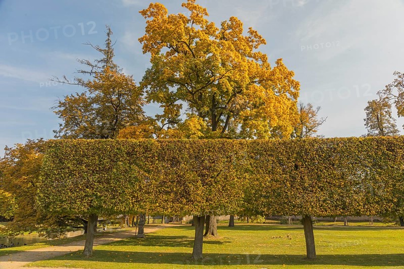 Gardenscene. Castle Jaromerice nad Rokytnou is located in Jaromerice nad Rokytnou in Okres Trebic, Czech Republic. It is called the Moravian Versailles because of its interiors and the baroque garden, through which the Rokytna river flows