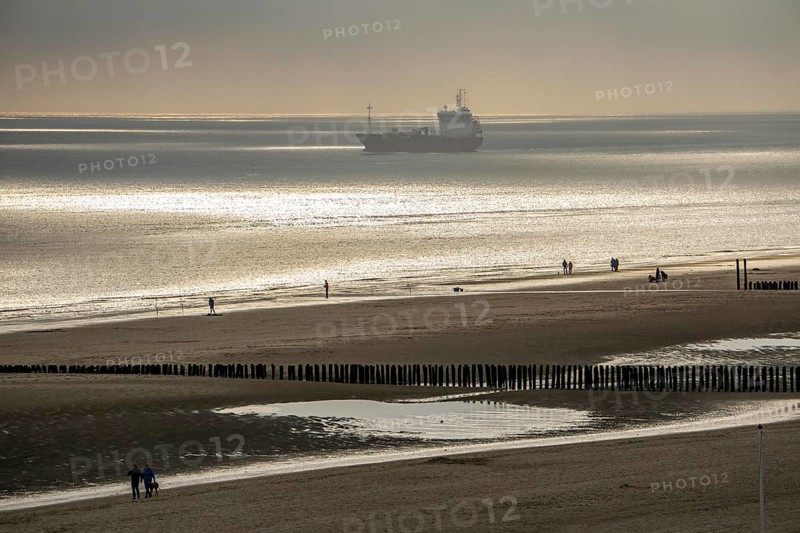 Evening mood at the North Sea beach near Zoutelande, Zeeland, angler, walker, breakwater, cargo ship, Netherlands