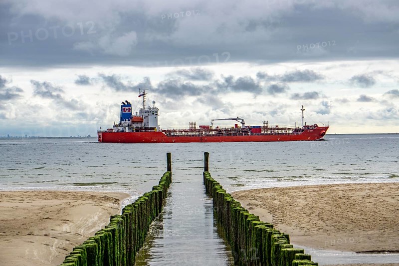 North Sea coast in Zeeland, called Zeeland Riviera, breakwater, made of wooden piles, near Zoutelande, tanker NQ Rosa, municipality of Veere, Netherlands