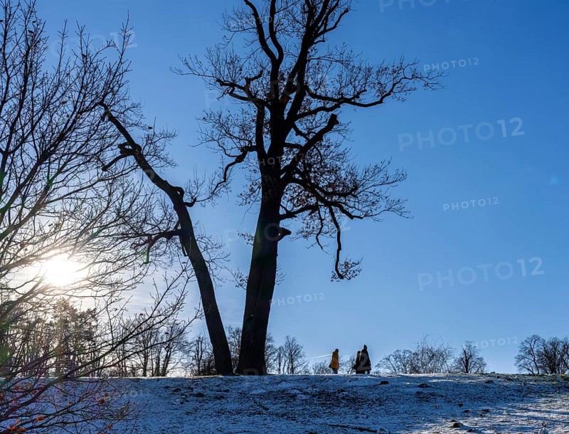 Park Babelsberg, winter impressions, Potsdam, Brandenburg, Germany, Europe