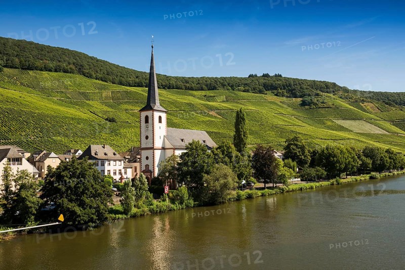 Picturesque village by the river and in the vineyards, Piesport, Moselle, Rhineland-Palatinate, Germany, Europe