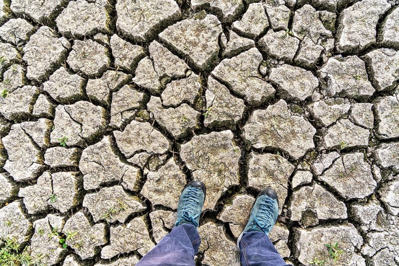 Dry ground, cracked, dried-up riverbed, in a branch of the Rhine, near Duisburg