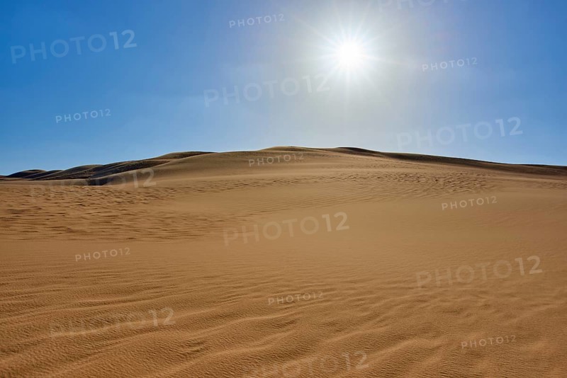 Sunny desert landscape with sand dunes under a clear blue sky, Matruh, Great Sand Sea, Libyan Desert, Sahara, Egypt, North Africa, Africa