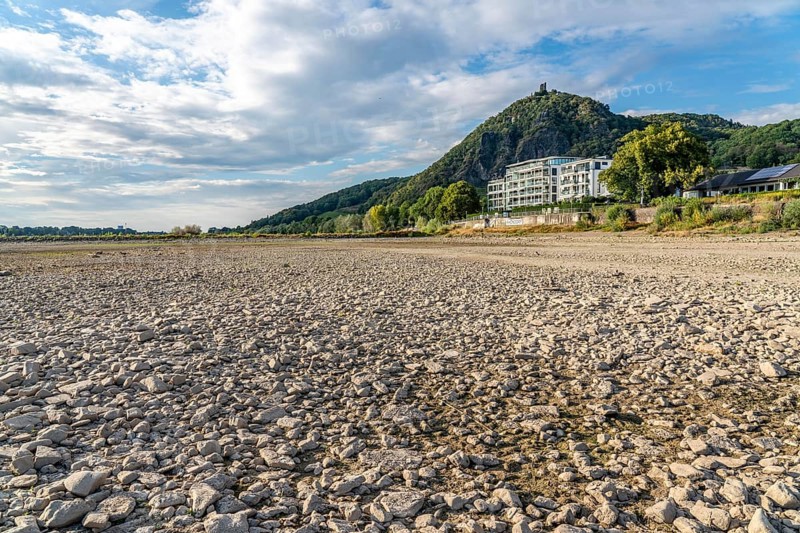 The Rhine at extremely low water, near Bad Honnef Rhöndorf, below the Drachenfels, Nonnenwerth Island, dry banks of the Rhine, North Rhine-Westphalia, Germany, Europe