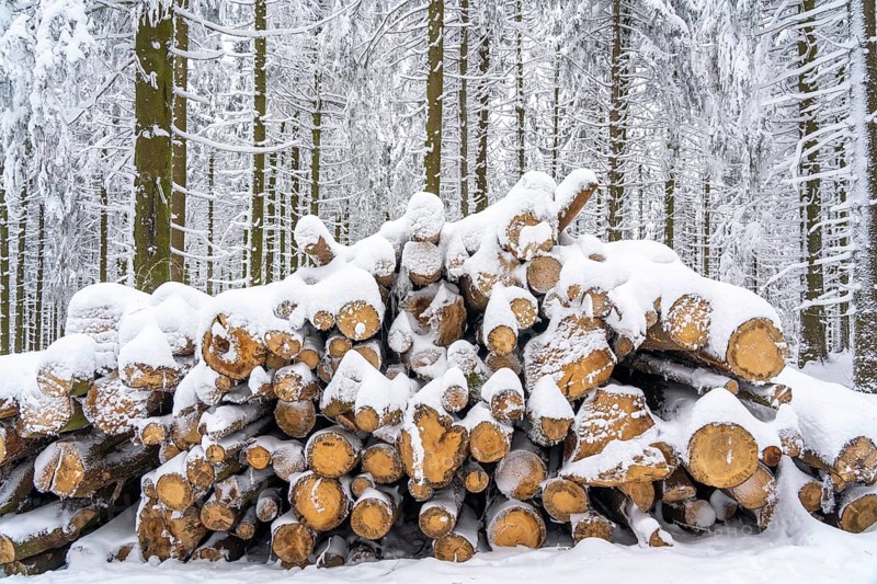 Stacked spruce wood, winter in Sauerland, Hochsauerlandkreis, at Kahler Asten, near Winterberg, few tourists, visitors, during the lockdown in January 2021, North Rhine-Westphalia, Germany, Europe