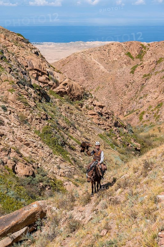 Traditional Kyrgyz eagle hunter with eagle in the mountains, hunting on horseback, near Kysyl-Suu, Kyrgyzstan, Asia