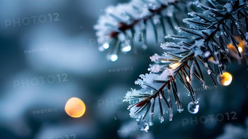 Detailed shot of frosted pine branches with twinkling fairy lights and icicles hanging, creating a sparkling wintery effect, AI generated
