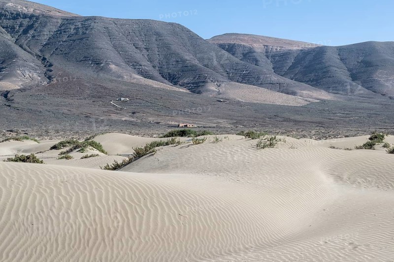 Dune landscape, Playa de Famara, Lanzarote, Canary Islands, Spain, Europe