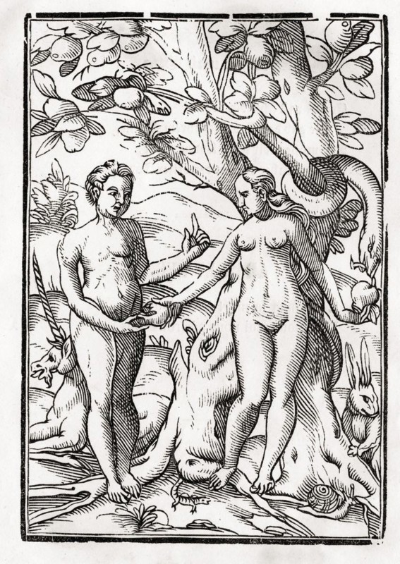 Adam und Eva im Garten Eden Aus Der Todten Tanz oder The Dance of Death erschienen in Basel 1843, Adam and Eve in the Garden of Eden From Der Todten Tanz or The Dance of Death published Basel 1843, Historic, digitally restored reproduction from a 19th century original, Record date not stated